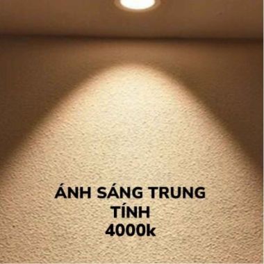 Đèn Led Panel Ốp Vuông Nổi 3 Màu SSPL-12W MPE