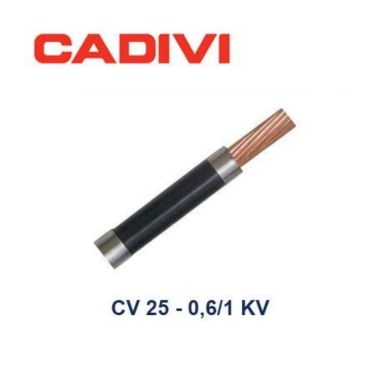 Dây Điện đơn Cadivi CV 25.0
